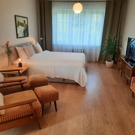 Seimos Bustas Homestay Шяуляй Екстер'єр фото